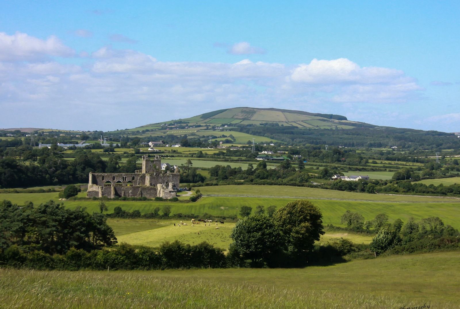 Dunbrody Abbey