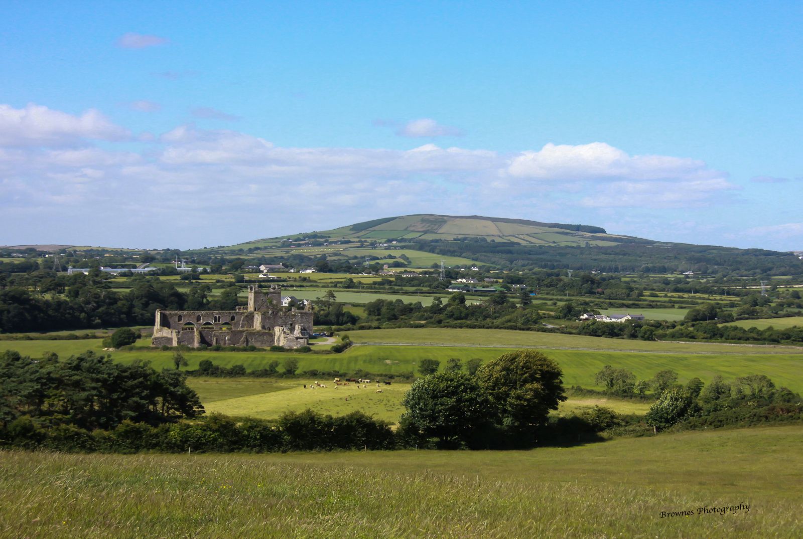 resize Dunbrody Abbey