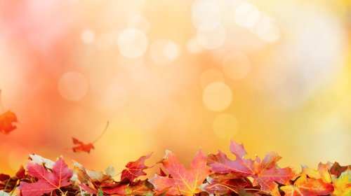 Autumn Breaks